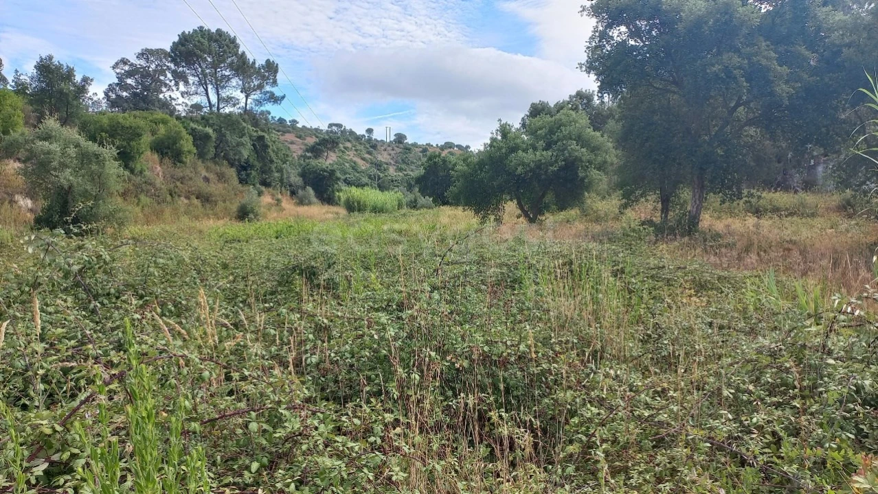 Terreno Agricola ou Rústico para Venda em Malhou, Louriceira e Espinheiro Foto 43
