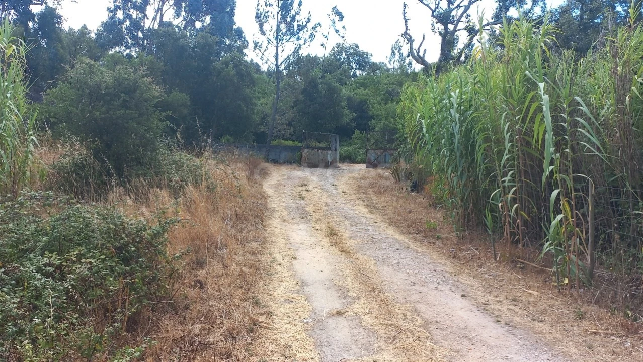 Terreno Agricola ou Rústico para Venda em Malhou, Louriceira e Espinheiro Foto 44