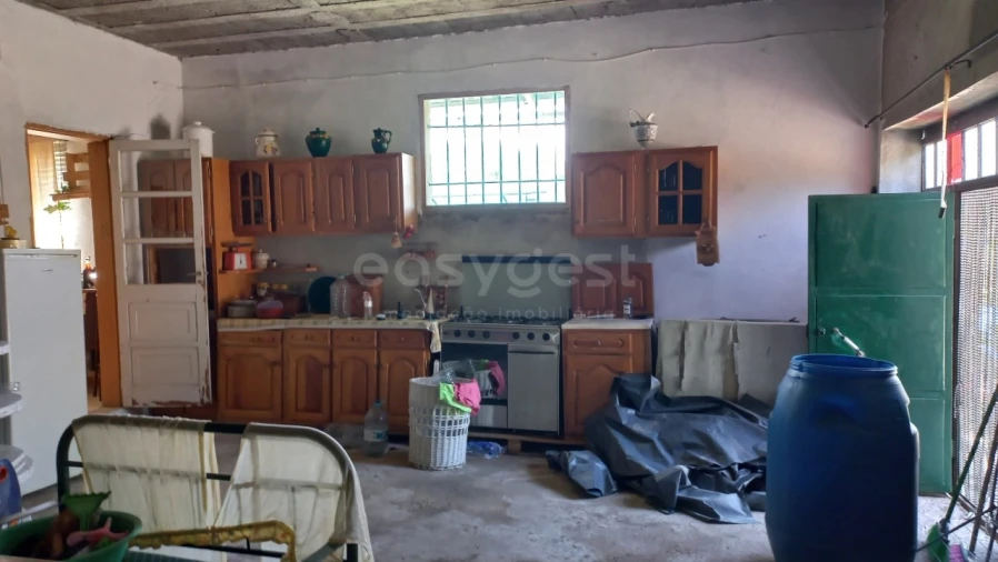 Terreno Agricola ou Rústico para Venda em Malhou, Louriceira e Espinheiro Foto 7