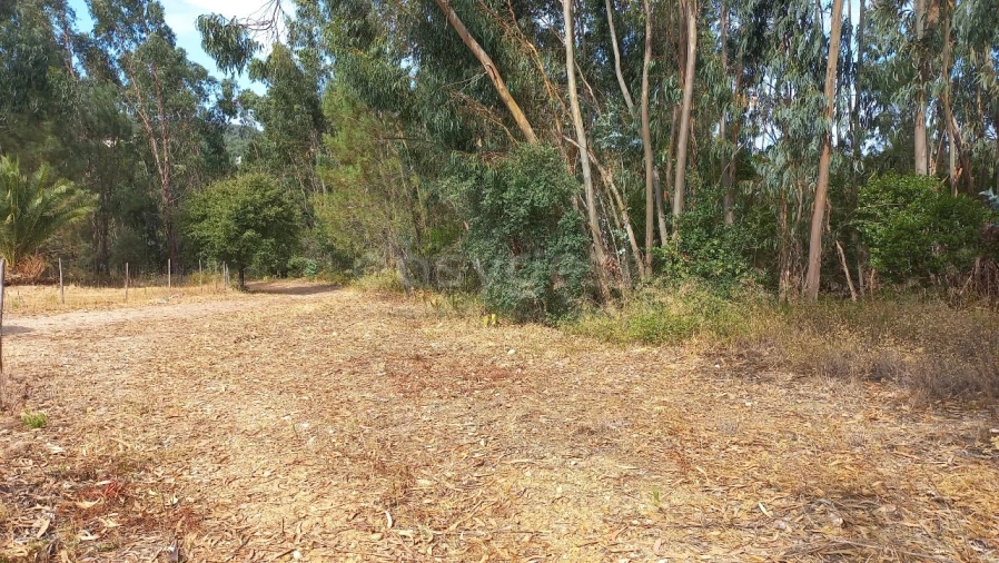 Terreno Agricola ou Rústico para Venda em Malhou, Louriceira e Espinheiro Foto 22