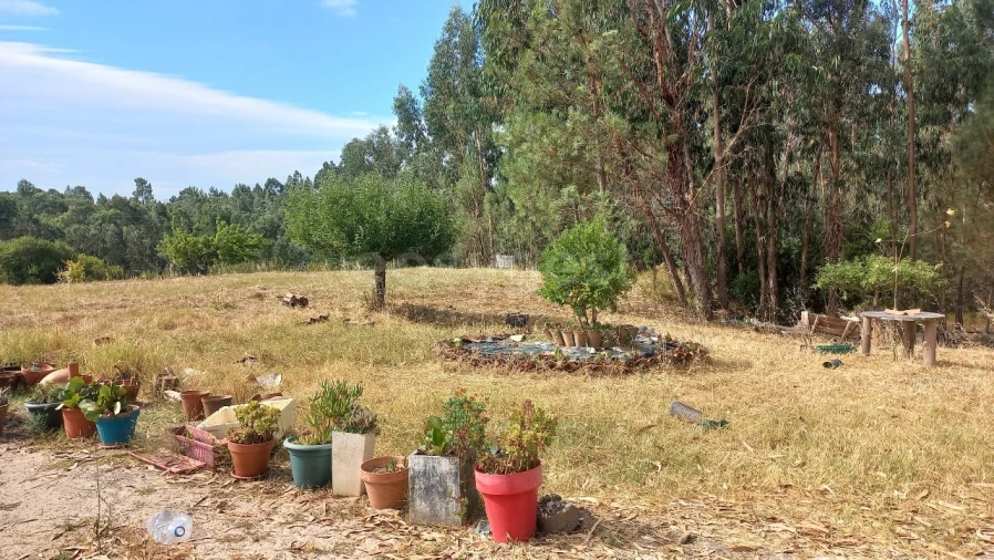 Terreno Agricola ou Rústico para Venda em Malhou, Louriceira e Espinheiro Foto 23