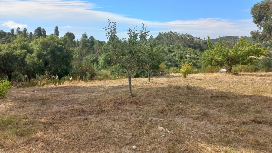 Terreno Agricola ou Rústico para Venda em Malhou, Louriceira e Espinheiro Foto 28