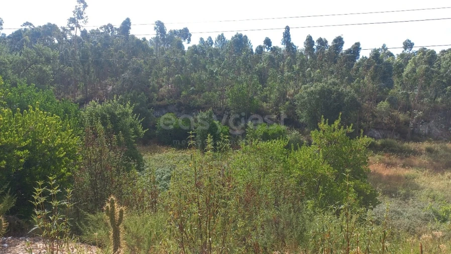 Terreno Agricola ou Rústico para Venda em Malhou, Louriceira e Espinheiro Foto 30