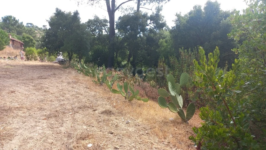 Terreno Agricola ou Rústico para Venda em Malhou, Louriceira e Espinheiro Foto 32