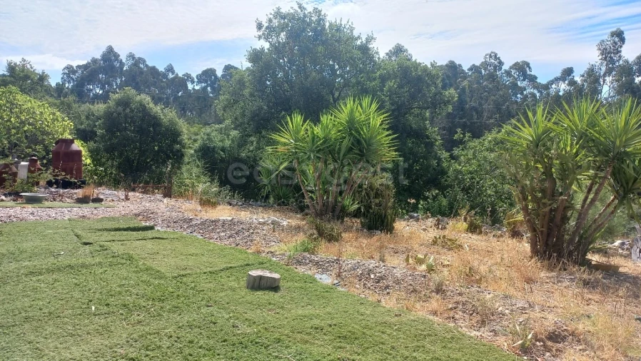 Terreno Agricola ou Rústico para Venda em Malhou, Louriceira e Espinheiro Foto 36