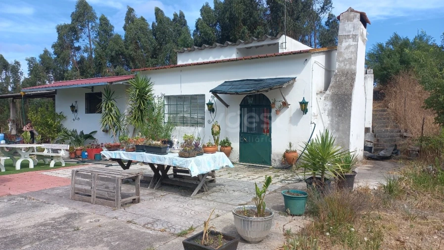 Terreno Agricola ou Rústico para Venda em Malhou, Louriceira e Espinheiro Foto 39