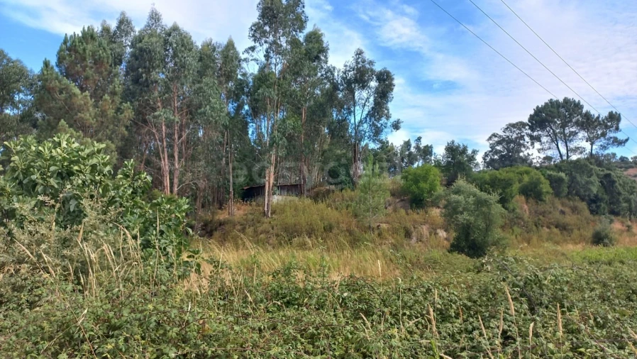 Terreno Agricola ou Rústico para Venda em Malhou, Louriceira e Espinheiro Foto 42