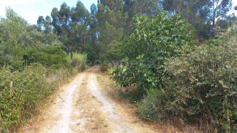 Terreno Agricola ou Rústico para Venda em Malhou, Louriceira e Espinheiro Foto 45