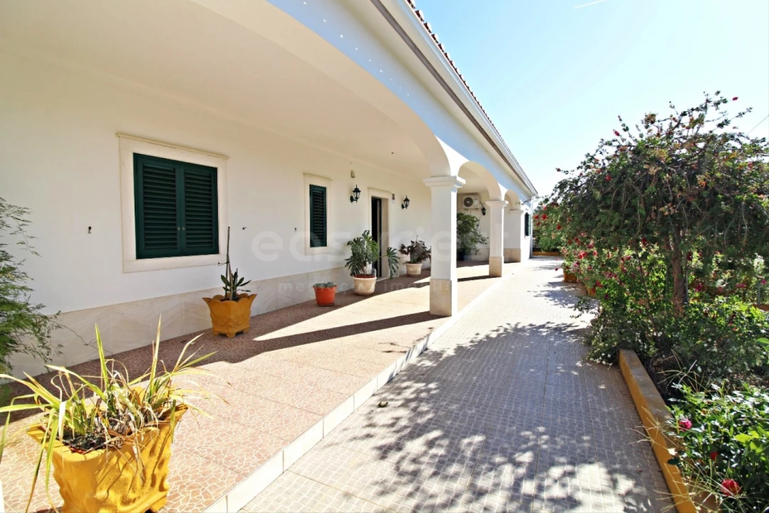 Quinta T6 para Venda em São Bento do Cortiço e Santo Estêvão Foto 3