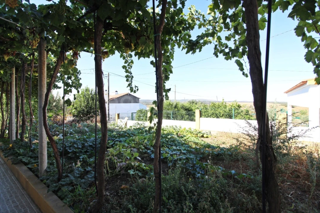 Quinta T6 para Venda em São Bento do Cortiço e Santo Estêvão Foto 6