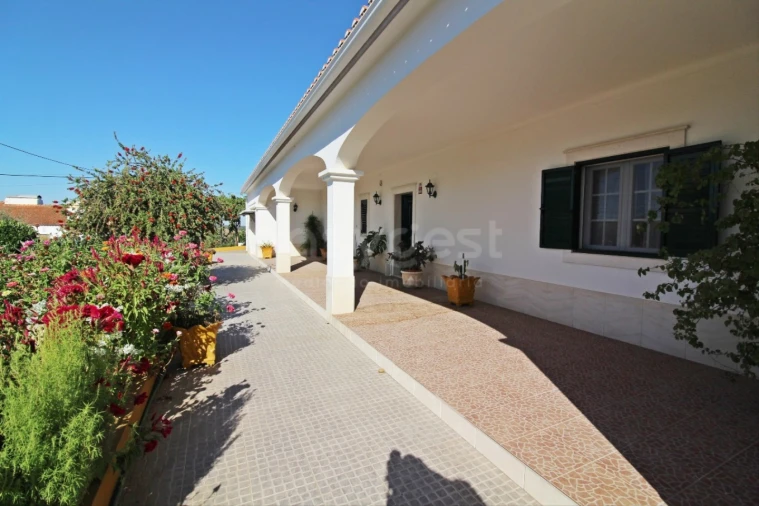 Quinta T6 para Venda em São Bento do Cortiço e Santo Estêvão Foto 5