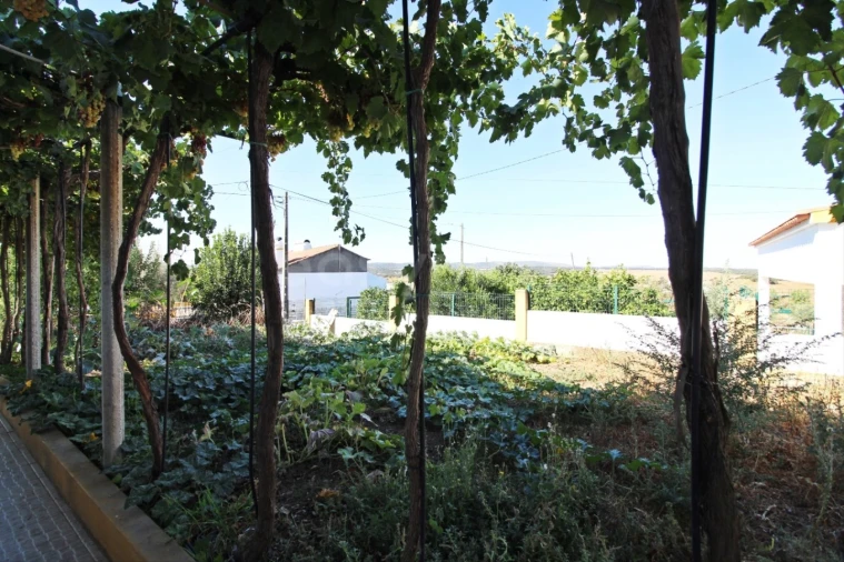 Quinta T6 para Venda em São Bento do Cortiço e Santo Estêvão Foto 6