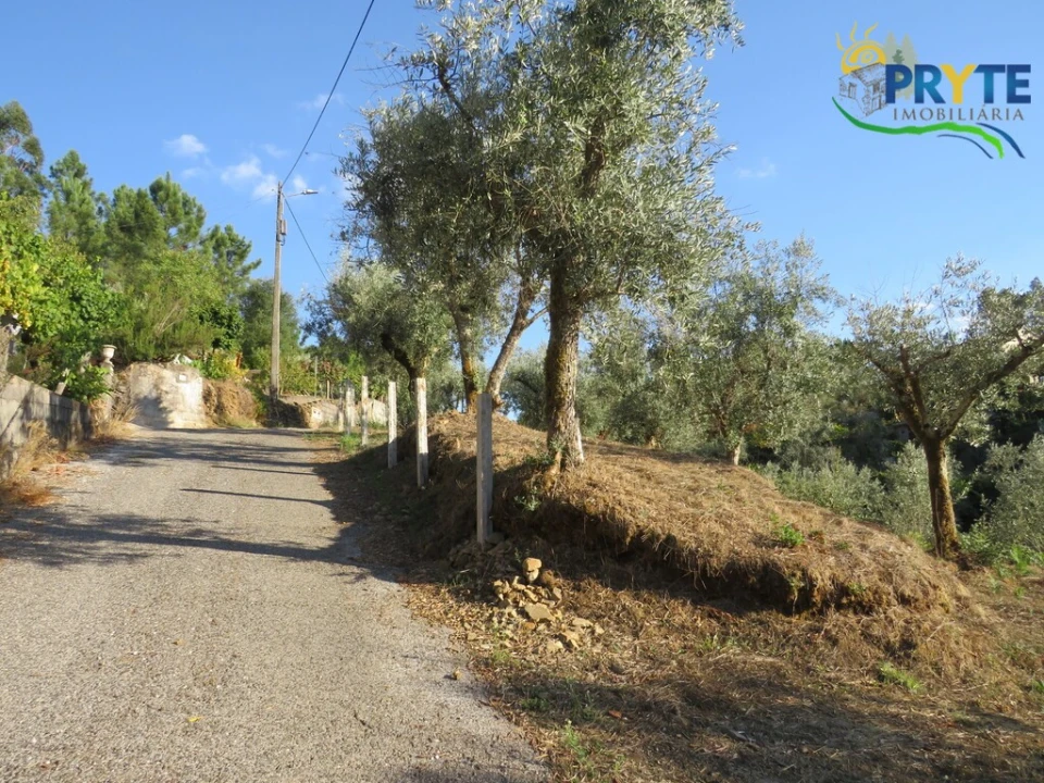 Quinta para Venda em Castelo Foto 1