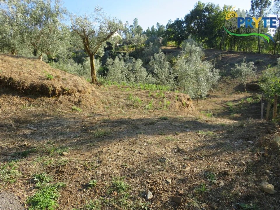 Quinta para Venda em Castelo Foto 2
