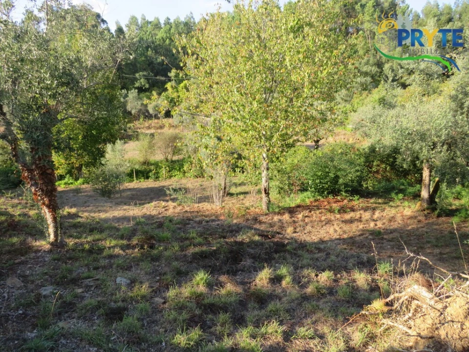 Quinta para Venda em Castelo Foto 4