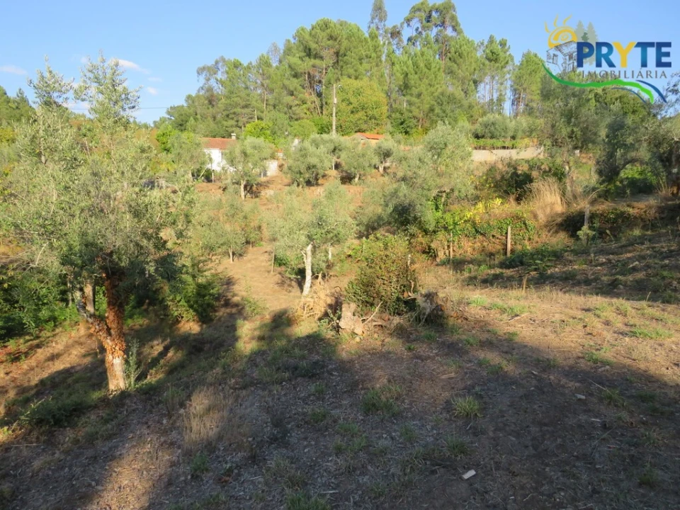 Quinta para Venda em Castelo Foto 5