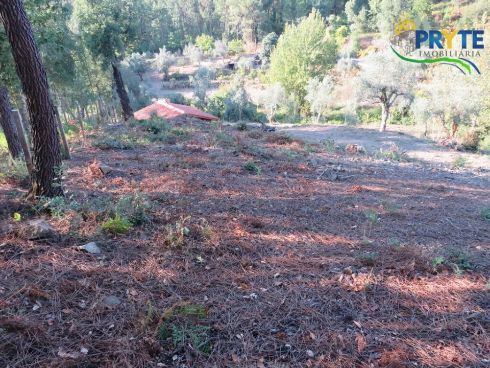 Quinta para Venda em Castelo Foto 6