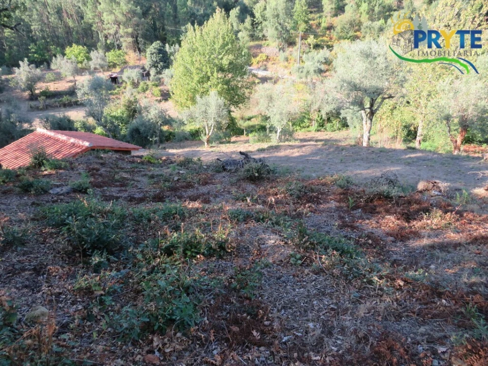 Quinta para Venda em Castelo Foto 7