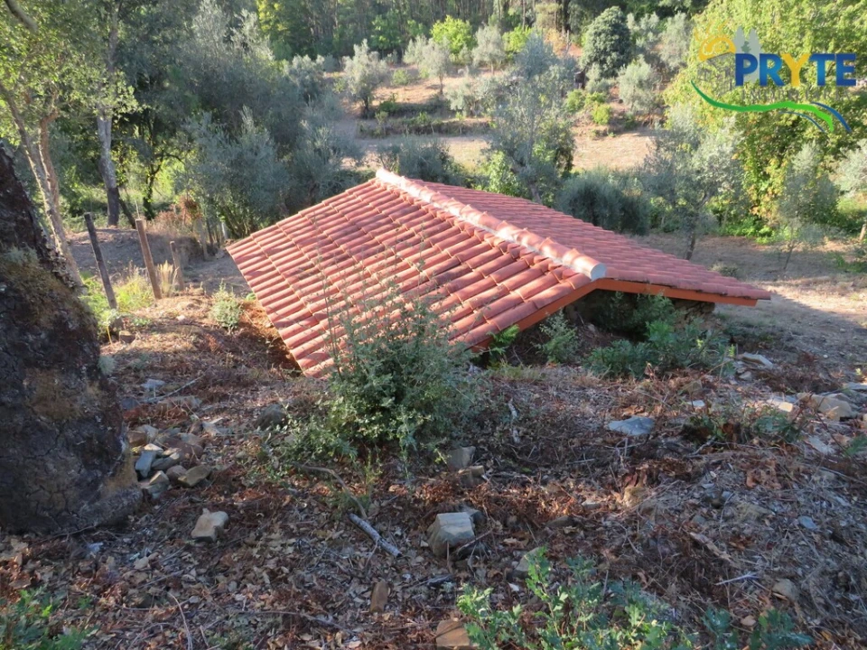 Quinta para Venda em Castelo Foto 8