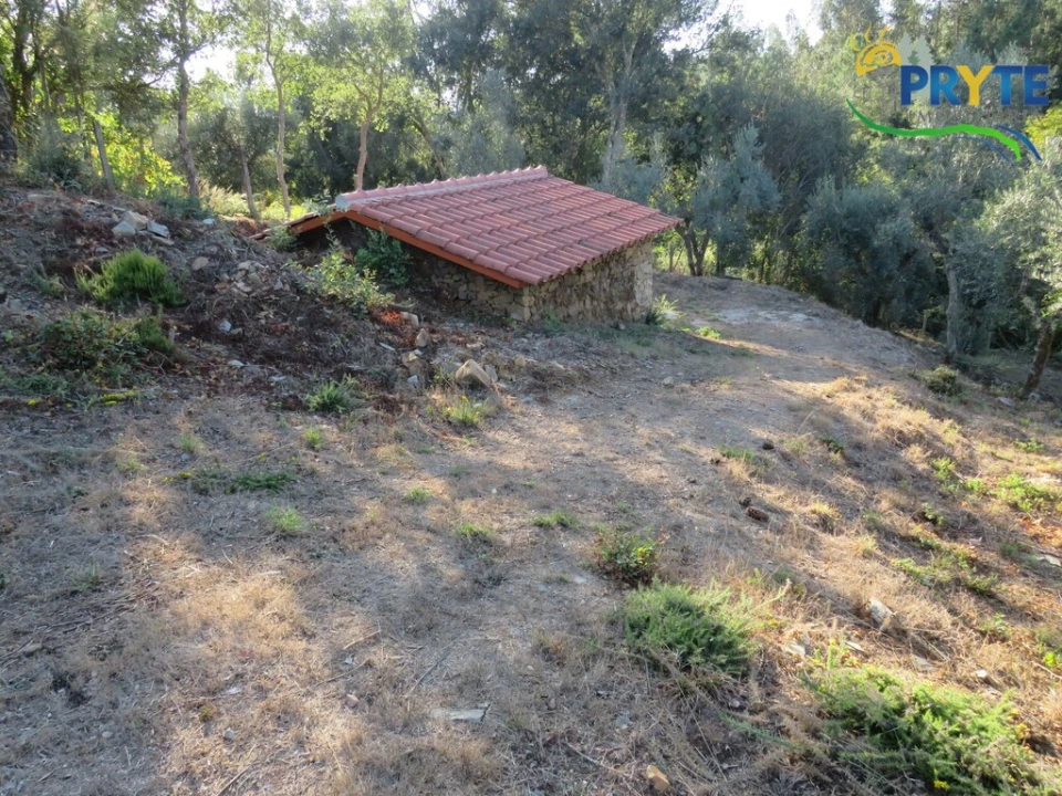 Quinta para Venda em Castelo Foto 9