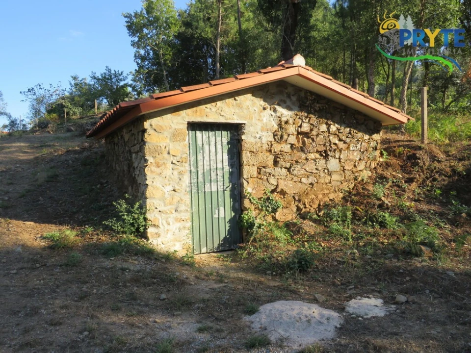 Quinta para Venda em Castelo Foto 10