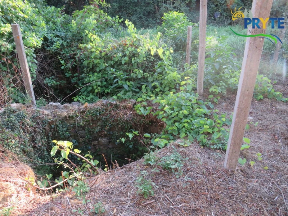 Quinta para Venda em Castelo Foto 14