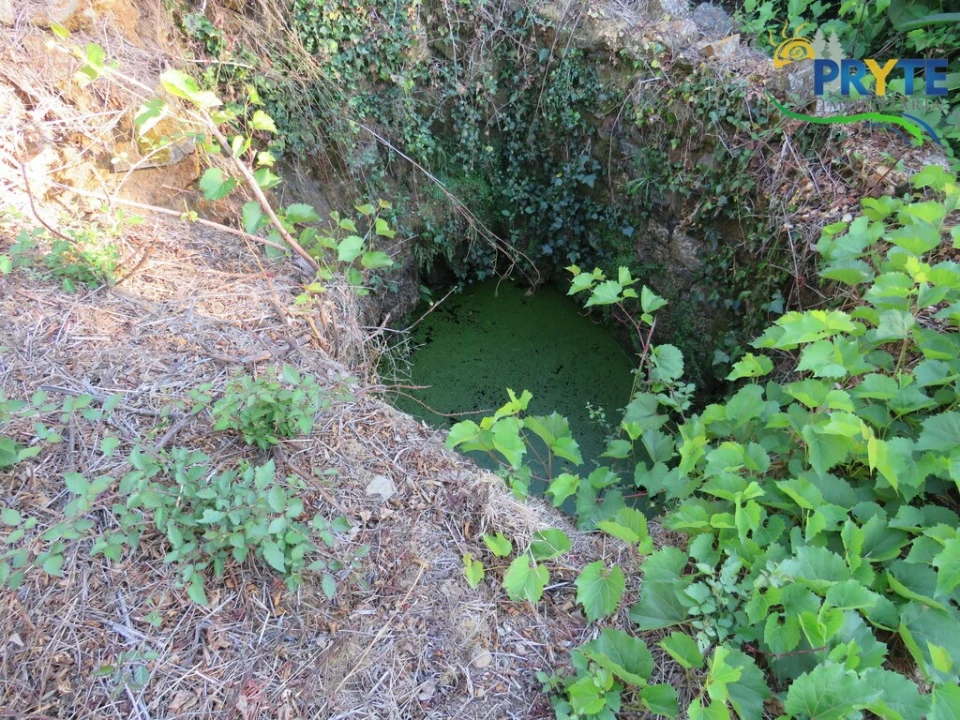 Quinta para Venda em Castelo Foto 15