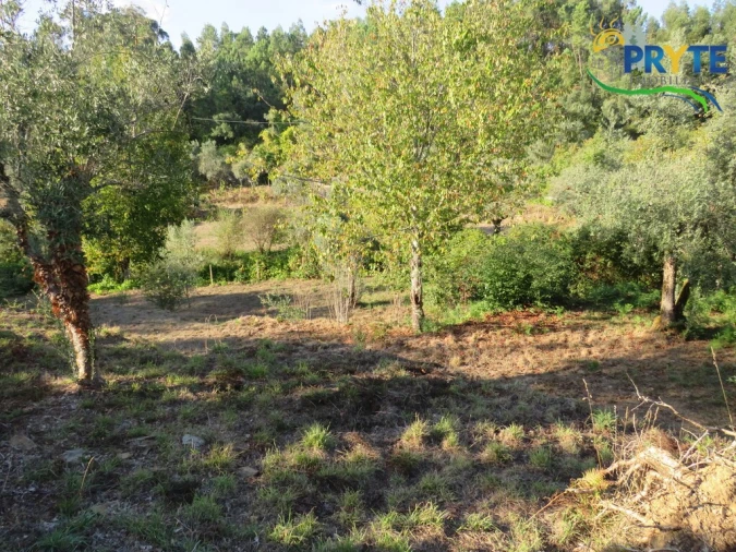 Quinta para Venda em Castelo Foto 4