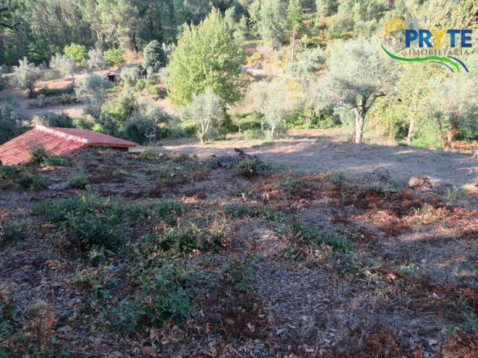 Quinta para Venda em Castelo Foto 7