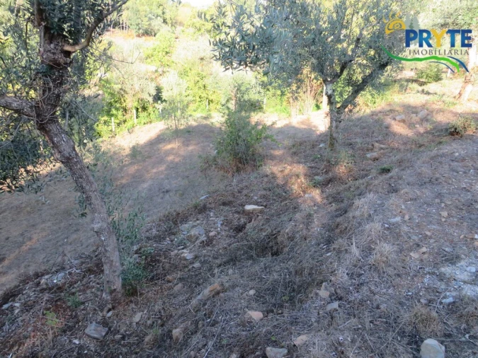 Quinta para Venda em Castelo Foto 11