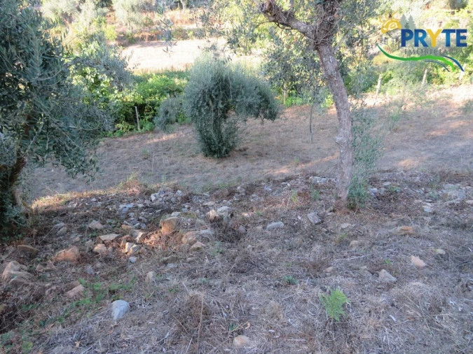 Quinta para Venda em Castelo Foto 12