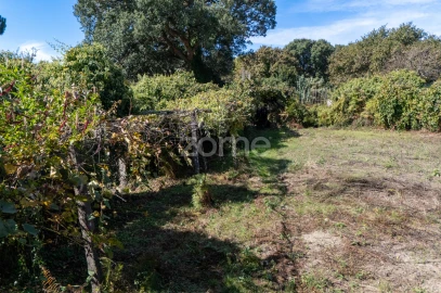 Terreno para Venda em Ramalde