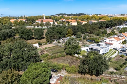 Terreno para Venda em Ramalde