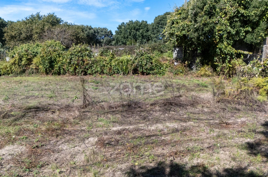 Terreno para Venda em Ramalde Foto 6