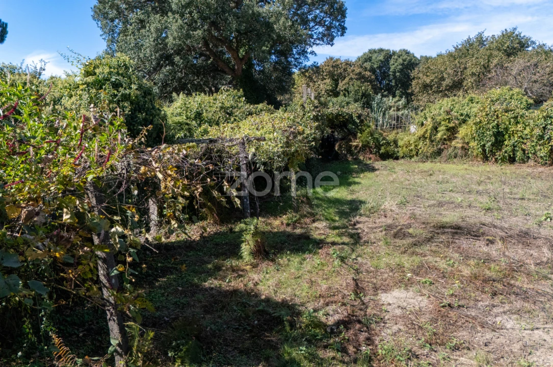 Terreno para Venda em Ramalde Foto 7