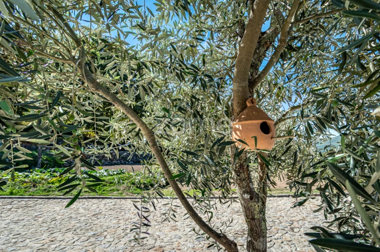 Moradia T2 para Venda em Covas Foto 46