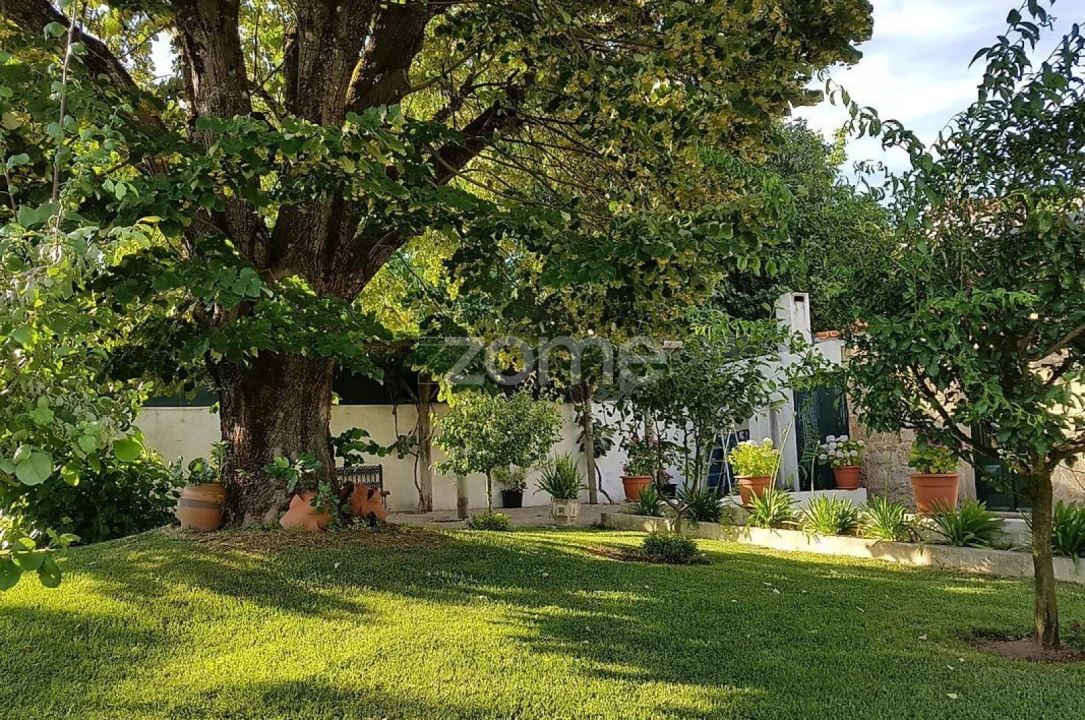 Negócio para Venda em Abraveses Foto 63