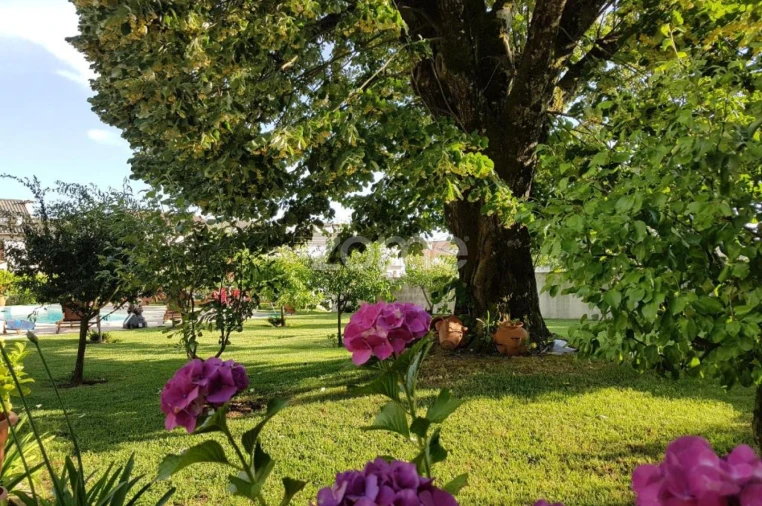 Negócio para Venda em Abraveses Foto 34