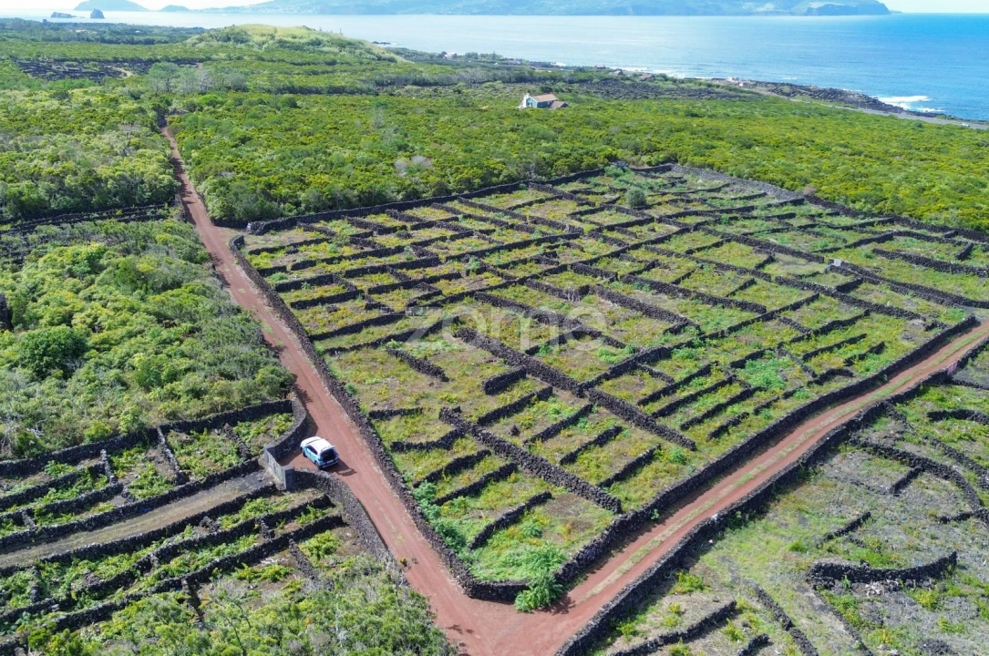 Terreno para Venda em Bandeiras Foto 3