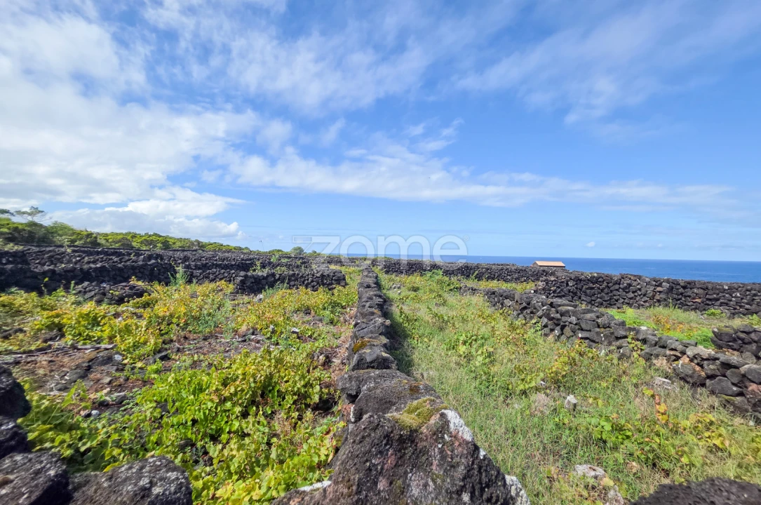 Terreno para Venda em Bandeiras Foto 13