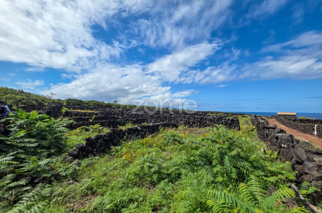 Terreno para Venda em Bandeiras Foto 15