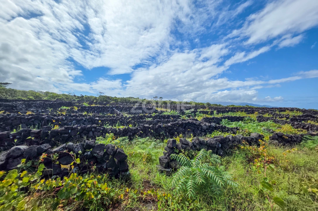 Terreno para Venda em Bandeiras Foto 17