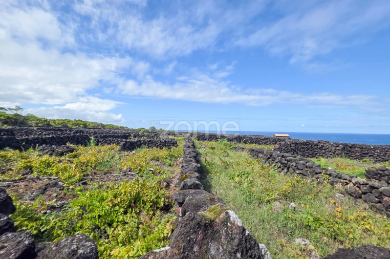 Terreno para Venda em Bandeiras Foto 13