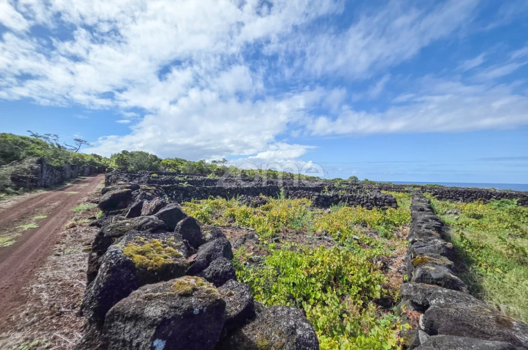 Terreno para Venda em Bandeiras Foto 12