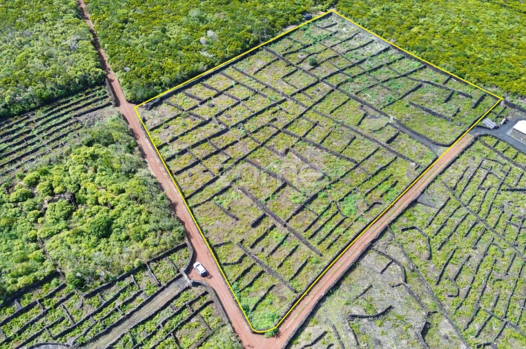 Terreno para Venda em Bandeiras Foto 2