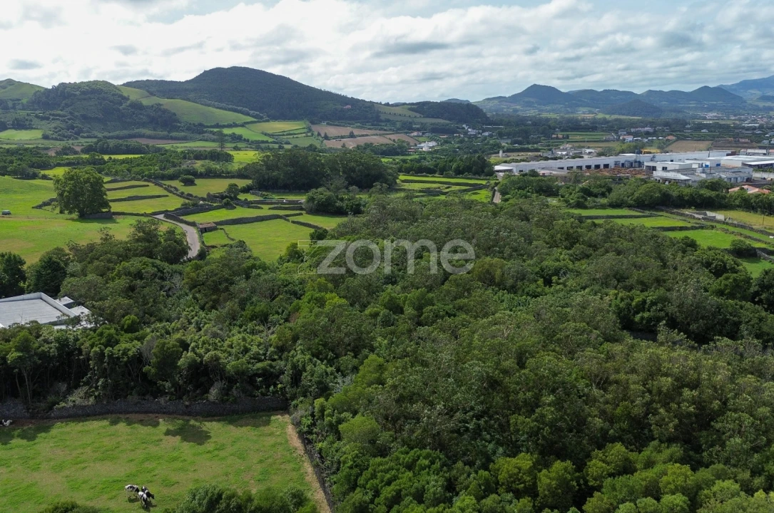 Terreno para Venda em Rabo de Peixe Foto 11