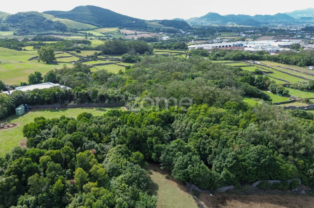 Terreno para Venda em Rabo de Peixe Foto 13