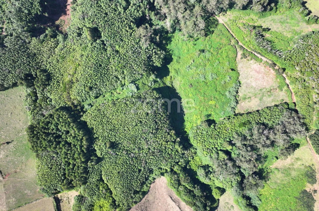 Terreno para Venda em Santo Espirito Foto 4