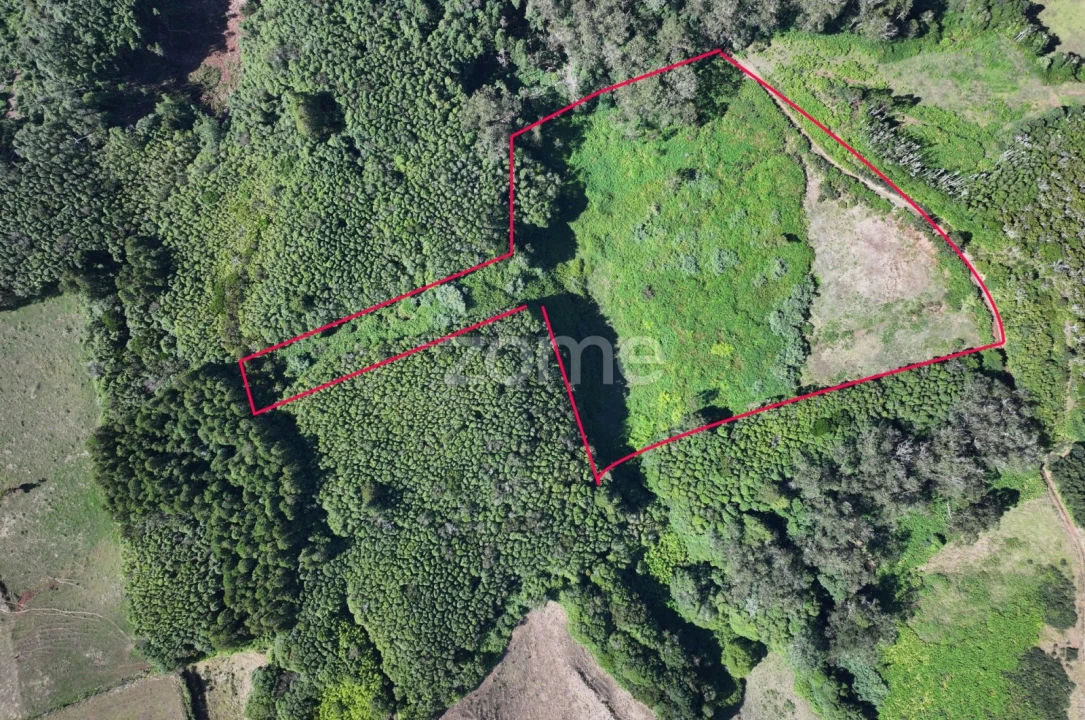 Terreno para Venda em Santo Espirito Foto 3