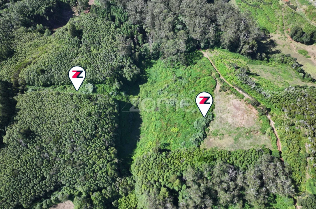 Terreno para Venda em Santo Espirito Foto 1